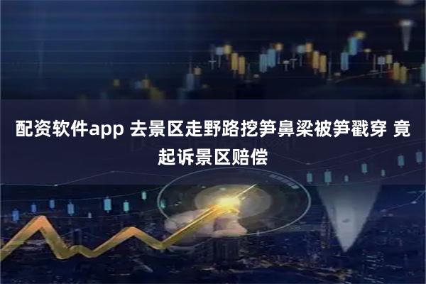 配资软件app 去景区走野路挖笋鼻梁被笋戳穿 竟起诉景区赔偿